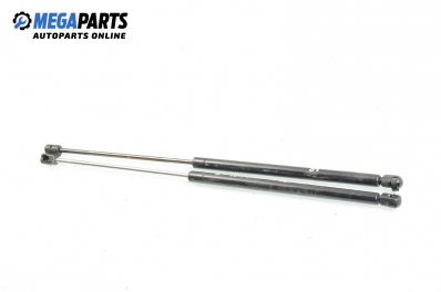 Амортисьор за багажник/товарно пространство за Renault Scenic I Minivan (09.1999 - 07.2010)