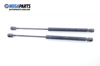 Амортисьор за багажник/товарно пространство за Audi 100 Sedan C4 (12.1990 - 07.1994)