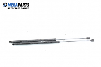 Амортисьор за багажник/товарно пространство за Renault Laguna I Hatchback (11.1993 - 08.2002)