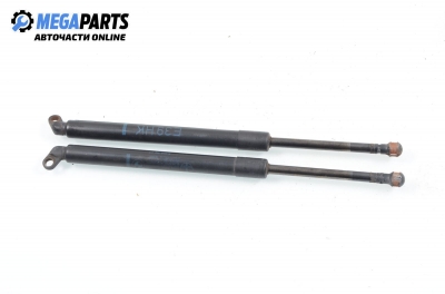 Амортисьор за багажник/товарно пространство за BMW 5 Series E39 Sedan (11.1995 - 06.2003)