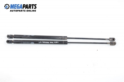 Амортисьор за багажник/товарно пространство за Seat Toledo I Hatchback (01.1991 - 10.1999)