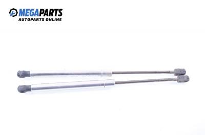 Амортисьор за багажник/товарно пространство за Audi A8 Sedan II (10.2002 - 07.2010)