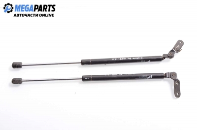 Амортисьор за багажник/товарно пространство за Nissan 100 NX Coupe (03.1990 - 01.1996)