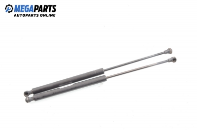 Амортисьор за багажник/товарно пространство за Renault Megane I Grandtour (03.1999 - 08.2003)