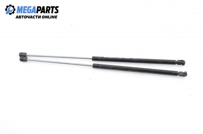Амортисьор за багажник/товарно пространство за Renault Megane Scenic (10.1996 - 12.2001)