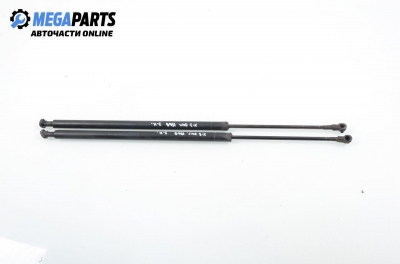 Амортисьор за багажник/товарно пространство за BMW X3 Series E83 (01.2004 - 12.2011)