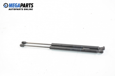 Амортисьор за багажник/товарно пространство за Renault Scenic II Minivan (06.2003 - 07.2010)