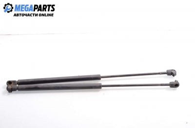 Амортисьор за багажник/товарно пространство за Mini Hatchback (R50, R53) (06.2001 - 09.2006)