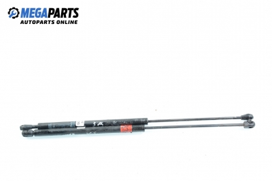 Амортисьор за багажник/товарно пространство за Renault Megane Scenic (10.1996 - 12.2001)