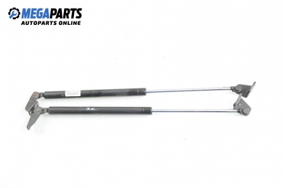 Амортисьор за багажник/товарно пространство за Hyundai Terracan SUV (06.2001 - 12.2008)