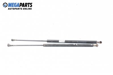 Амортисьор за багажник/товарно пространство за Citroen Xsara Hatchback (04.1997 - 04.2005)