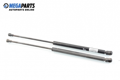 Амортисьор за багажник/товарно пространство за Audi A3 Hatchback I (09.1996 - 05.2003)