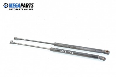 Амортисьор за багажник/товарно пространство за Audi A3 Hatchback I (09.1996 - 05.2003)