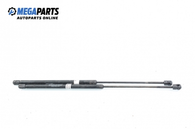 Амортисьор за багажник/товарно пространство за Renault Megane Scenic (10.1996 - 12.2001)