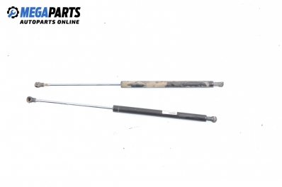 Амортисьор за багажник/товарно пространство за Renault Laguna II Hatchback (03.2001 - 12.2007)