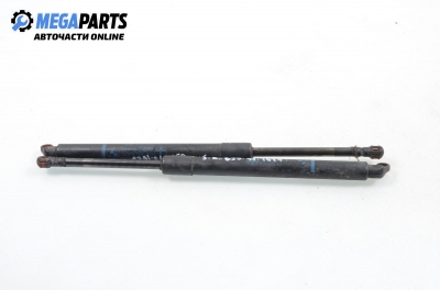 Амортисьор за багажник/товарно пространство за BMW 5 Series E39 Sedan (11.1995 - 06.2003)