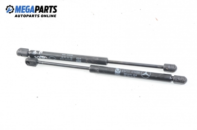 Амортисьор за багажник/товарно пространство за Mercedes-Benz SLK-Class Cabrio (R170) (04.1996 - 04.2004), № A 170 760 00 36