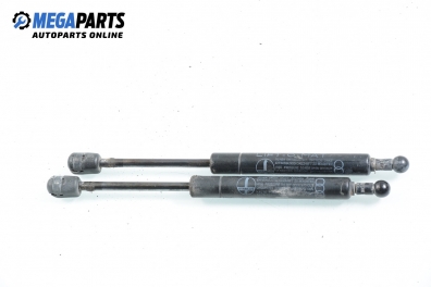 Амортисьор за багажник/товарно пространство за Audi 80 Sedan B4 (09.1991 - 12.1994)