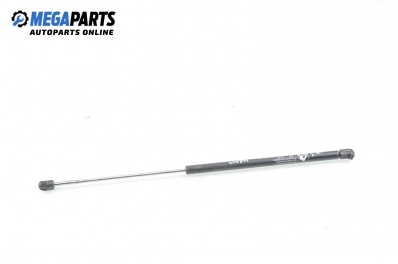 Амортисьор за багажник/товарно пространство за Renault Megane Scenic (10.1996 - 12.2001)