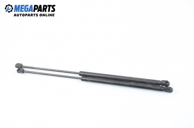 Амортисьор за багажник/товарно пространство за Renault Megane Scenic (10.1996 - 12.2001)