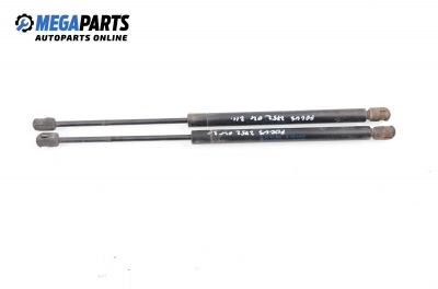 Амортисьор за багажник/товарно пространство за Ford Focus I Hatchback (10.1998 - 12.2007)