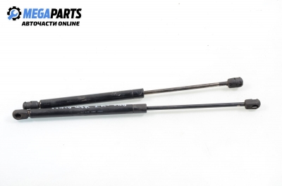 Амортисьор за багажник/товарно пространство за Fiat Punto Hatchback (09.1993 - 09.1999)