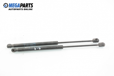 Амортисьор за багажник/товарно пространство за Renault Megane II Hatchback (07.2001 - 10.2012)