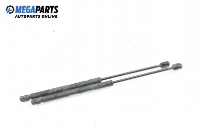 Амортисьор за багажник/товарно пространство за Fiat Punto Hatchback (09.1993 - 09.1999)