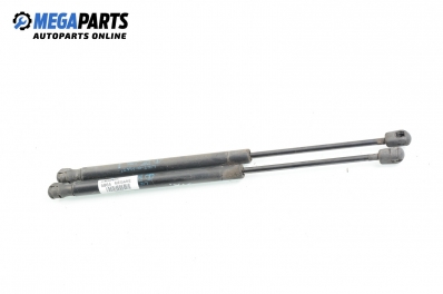 Амортисьор за багажник/товарно пространство за Renault Megane II Hatchback (07.2001 - 10.2012)