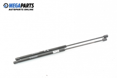 Амортисьор за багажник/товарно пространство за Renault Megane Scenic (10.1996 - 12.2001)