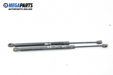 Амортисьор за багажник/товарно пространство за Ford Focus I Hatchback (10.1998 - 12.2007)