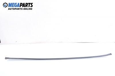 Външни лайсни за Renault Megane I Hatchback (08.1995 - 12.2004)