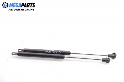 Амортисьор за багажник/товарно пространство за Citroen C3 Pluriel (05.2003 - 03.2010)