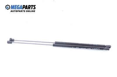 Амортисьор за багажник/товарно пространство за Renault Megane Scenic (10.1996 - 12.2001)