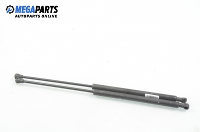 Амортисьор за багажник/товарно пространство за Citroen C5 I Sedan (03.2001 - 03.2005)