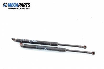 Амортисьор за багажник/товарно пространство за BMW 5 Series E39 Sedan (11.1995 - 06.2003)