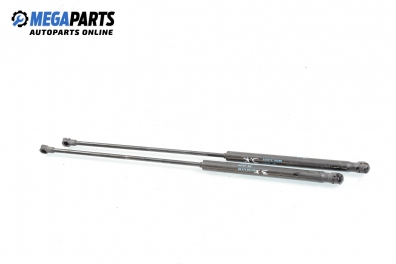 Амортисьор за багажник/товарно пространство за Citroen C4 Hatchback II (11.2004 - 12.2013)