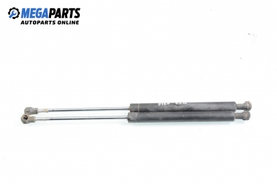 Амортисьор за багажник/товарно пространство за Renault Clio II Hatchback (09.1998 - 09.2005)