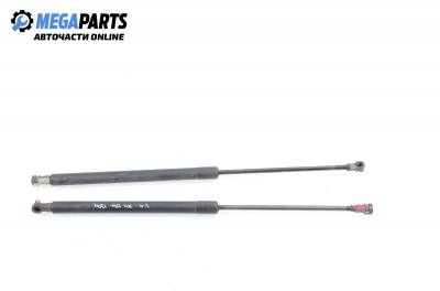 Амортисьор за багажник/товарно пространство за Audi A4 Avant B6 (04.2001 - 12.2004)