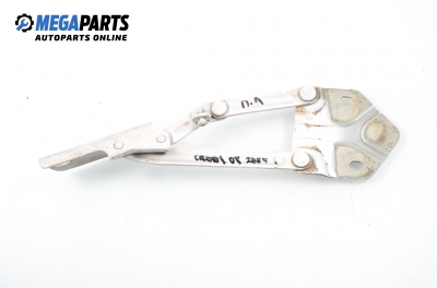 Панта преден капак за Volkswagen Caddy III Box (03.2004 - 05.2015), позиция: лява