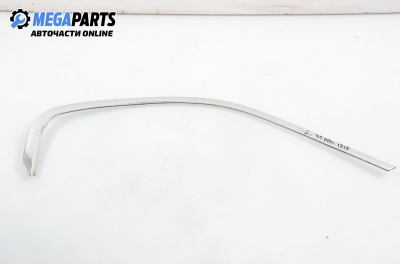 Външни лайсни за BMW X5 Series E53 (05.2000 - 12.2006), позиция: задна, дясна