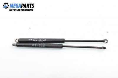 Амортисьор за багажник/товарно пространство за BMW 5 Series E34 Sedan (12.1987 - 11.1995)