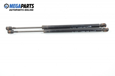 Амортисьор за багажник/товарно пространство за Ford Focus I Hatchback (10.1998 - 12.2007)