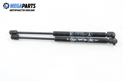 Амортисьор за багажник/товарно пространство за Mercedes-Benz SLK-Class Cabrio (R170) (04.1996 - 04.2004)