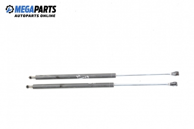 Амортисьор за багажник/товарно пространство за Renault Laguna I Hatchback (11.1993 - 08.2002)
