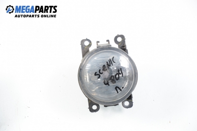 Халоген за Renault Scenic II Minivan (06.2003 - 07.2010), позиция: лява