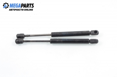 Амортисьор за багажник/товарно пространство за Volkswagen Bora Sedan (10.1998 - 12.2013)