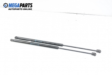 Амортисьор за багажник/товарно пространство за Renault Scenic I Minivan (09.1999 - 07.2010)