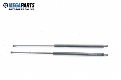 Амортисьор за багажник/товарно пространство за Renault Kangoo Van (08.1997 - 02.2008)