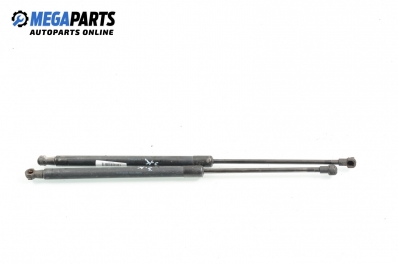 Амортисьор за багажник/товарно пространство за Audi A3 Hatchback II (05.2003 - 08.2012)